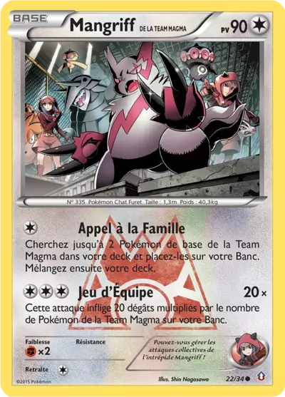 DCR 22 34 Mangriff De La Team Magma PkmCards Fr