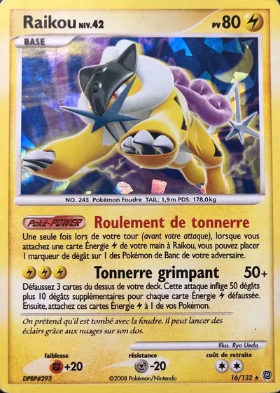 SW 016 132 Raikou PkmCards Fr