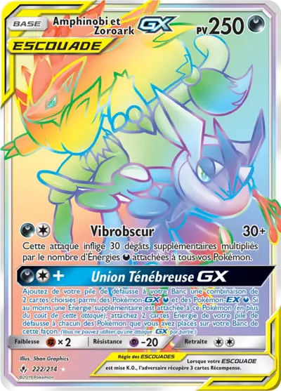 Unb Amphinobi Et Zoroark Escouade Pkmcards Fr